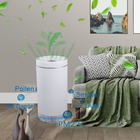 H13 Filter 380m3/h Wifi Enabled Air Purifier With Ionizer